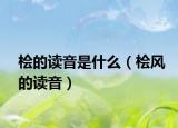 桧的读音是什么（桧风的读音）