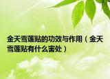 金天雪莲贴的功效与作用（金天雪莲贴有什么害处）