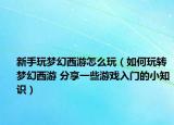 新手玩梦幻西游怎么玩（如何玩转梦幻西游 分享一些游戏入门的小知识）