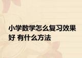 小学数学怎么复习效果好 有什么方法