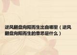 逆风翻盘向阳而生出自哪里（逆风翻盘向阳而生的意思是什么）