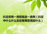 抖音里有一首歌就是一直啊（抖音中什么什么反反复复歌词是什么）