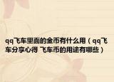 qq飞车里面的金币有什么用（qq飞车分享心得 飞车币的用途有哪些）