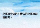 小溪填空词语（什么的小溪填词语补充）