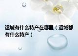 运城有什么特产在哪里（运城都有什么特产）