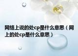 网络上说的处cp是什么意思（网上的处cp是什么意思）