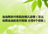 当当网支付密码在哪儿设置（怎么设置当当的支付密码 分享6个经验）