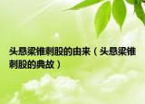 头悬梁锥刺股的由来（头悬梁锥刺股的典故）