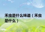 禾虫是什么味道（禾虫是什么）