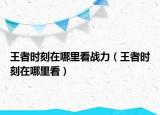 王者时刻在哪里看战力（王者时刻在哪里看）