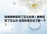 如果被老鼠咬了怎么处理（被老鼠咬了怎么办 这些处理方法了解一下）