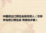 中国进出口博览会如何进入（怎样参加进口博览会 有哪些步骤）