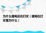 为什么缅甸还在打仗（缅甸在打仗是为什么）