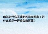 哈尔为什么不能把苏菲变回来（为什么哈尔一开始会救苏菲）