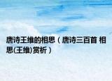 唐诗王维的相思（唐诗三百首 相思(王维)赏析）