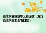 绝地求生端游怎么看回放（游戏绝地求生怎么看回放）