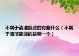 不属于清洁能源的有些什么（不属于清洁能源的是哪一个）