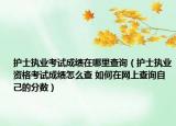 护士执业考试成绩在哪里查询（护士执业资格考试成绩怎么查 如何在网上查询自己的分数）