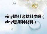 vinyl是什么材料贵吗（vinyl是哪种材料）