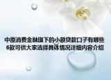 中原消费金融旗下的小额贷款口子有哪些 6款可供大家选择具体情况详细内容介绍