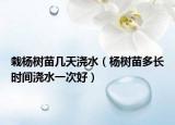 栽杨树苗几天浇水（杨树苗多长时间浇水一次好）