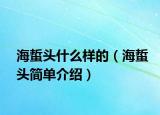 海蜇头什么样的（海蜇头简单介绍）