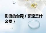影流的台词（影流是什么梗）