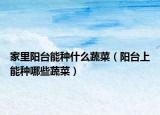 家里阳台能种什么蔬菜（阳台上能种哪些蔬菜）