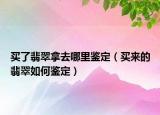 买了翡翠拿去哪里鉴定（买来的翡翠如何鉴定）