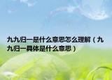 九九归一是什么意思怎么理解（九九归一具体是什么意思）