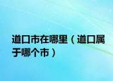 道口市在哪里（道口属于哪个市）