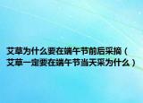 艾草为什么要在端午节前后采摘（艾草一定要在端午节当天采为什么）