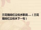 兰花指捻红尘似水歌词.....（兰花指捻红尘似水下一句）