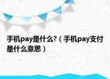 手机pay是什么?（手机pay支付是什么意思）