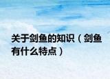 关于剑鱼的知识（剑鱼有什么特点）