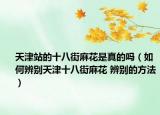 天津站的十八街麻花是真的吗（如何辨别天津十八街麻花 辨别的方法）