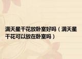 满天星干花放卧室好吗（满天星干花可以放在卧室吗）
