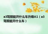 a3驾照能开什么车升级A1（a3驾照能开什么车）