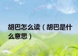 胡巴怎么读（胡巴是什么意思）
