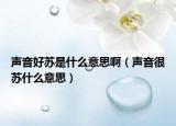 声音好苏是什么意思啊（声音很苏什么意思）