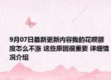 9月07日最新更新内容我的花呗额度怎么不涨 这些原因很重要 详细情况介绍