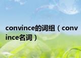 convince的词组（convince名词）