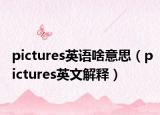 pictures英语啥意思（pictures英文解释）