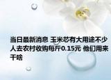 当日最新消息 玉米芯有大用途不少人去农村收购每斤0.15元 他们用来干啥
