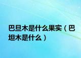 巴旦木是什么果实（巴坦木是什么）
