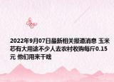 2022年9月07日最新相关报道消息 玉米芯有大用途不少人去农村收购每斤0.15元 他们用来干啥