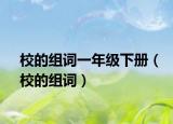 校的组词一年级下册（校的组词）