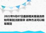 2022年9月07日最新相关报道消息 如何鉴别注胶翡翠 这种方法可以轻易鉴别