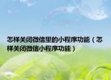 怎样关闭微信里的小程序功能（怎样关闭微信小程序功能）