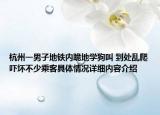 杭州一男子地铁内跪地学狗叫 到处乱爬吓坏不少乘客具体情况详细内容介绍